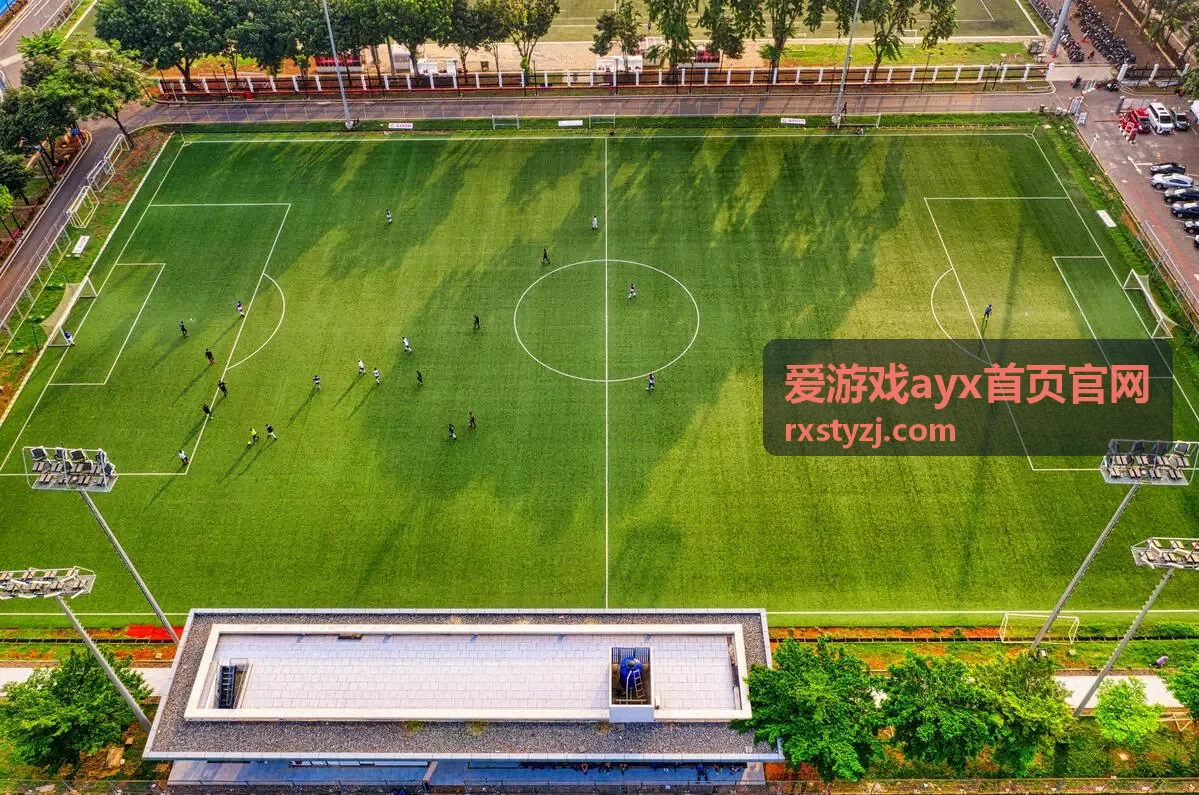 爱游戏ayx首页官网活动福利入口与领取记录