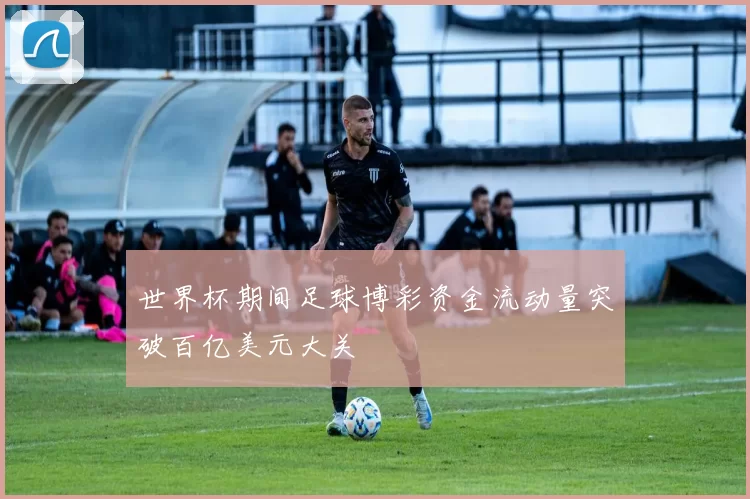 世界杯期间足球博彩资金流动量突破百亿美元大关