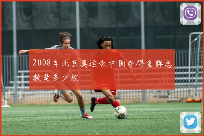 2008年北京奥运会中国夺得金牌总数是多少枚